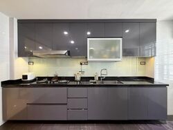 Le Conney Park (D15), Apartment #547491041